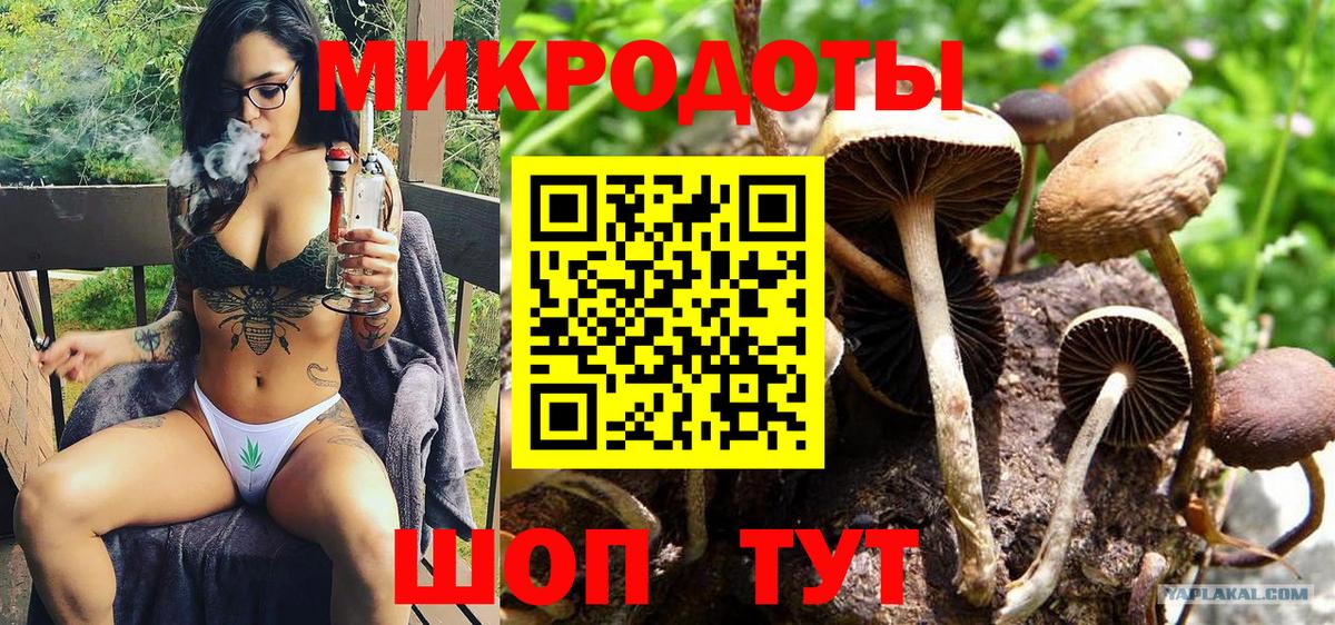 Псилоцибиновые грибы мухоморы Нефтекамск
